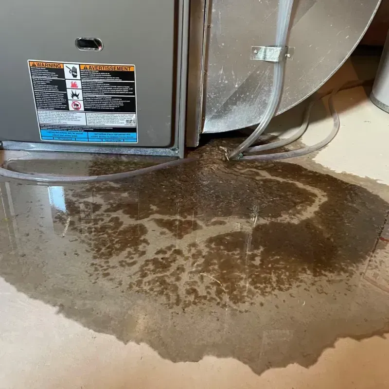 Appliance Leak Cleanup in Richland, PA